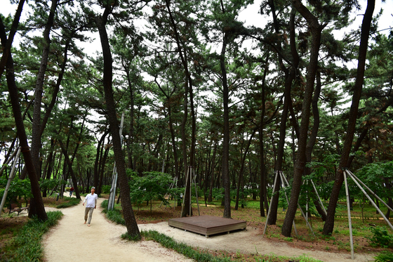 퐇아시 송림숲 소나무재선충병 확산 차단