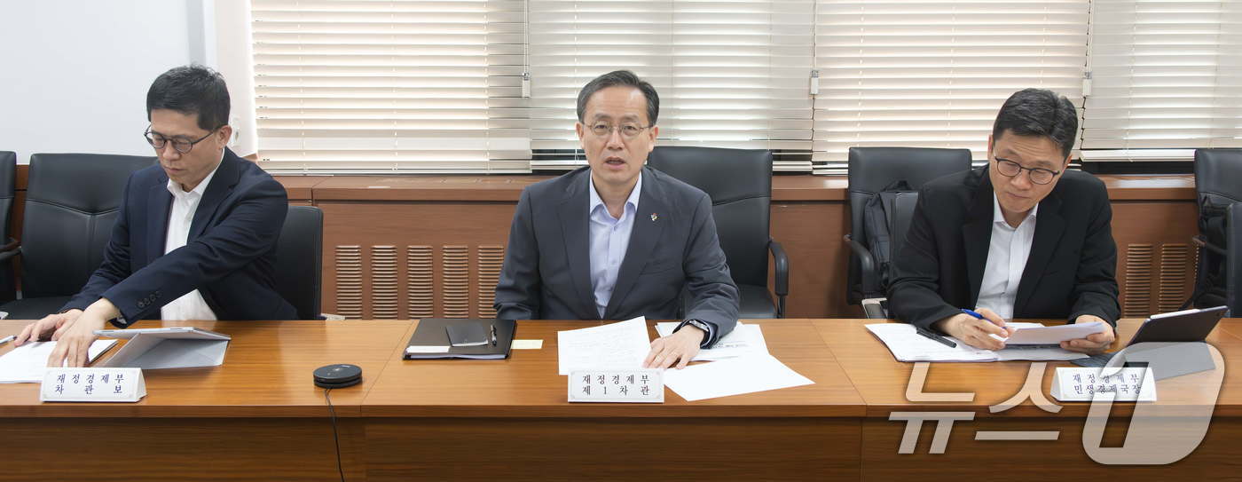 (서울=뉴스1) = 이형일 재정경제부 차관이 17일 서울 종로구 정부서울청사 에서 열린 제2차 일자리 전담반(TF) 회의를 주재하고 있다. (재정경제부 제공. 재판매 및 DB금지) …