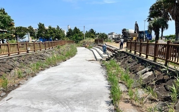 멸종위기종 서식지에 콘크리트…제주 '반려동물 해수욕장' 제동