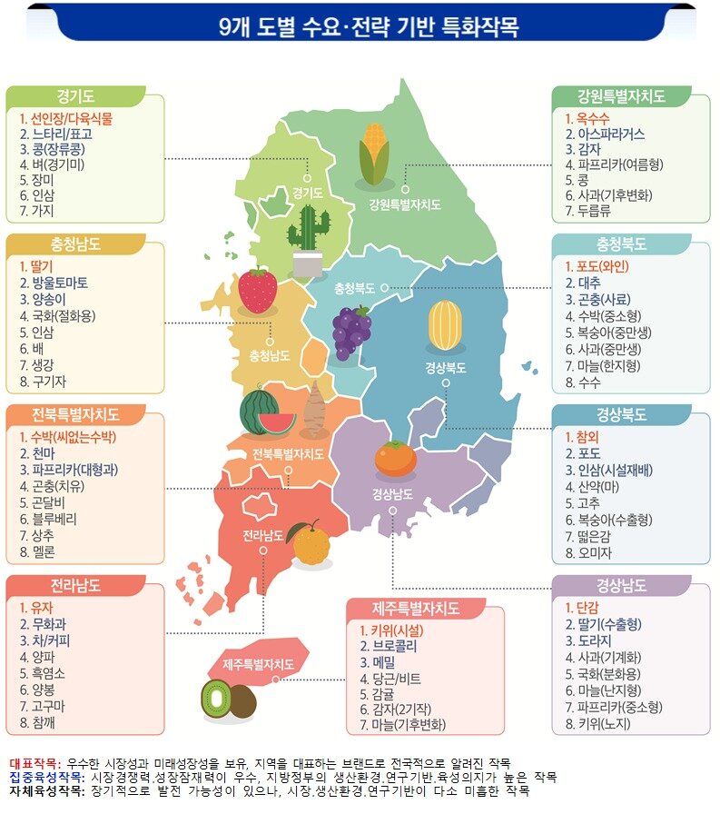 본문 이미지 - 9개 도별 수요·전략 기반 특화작목 (농촌진흥청 제공. 재판매 및 DB금지) 2026.6.17 /뉴스1