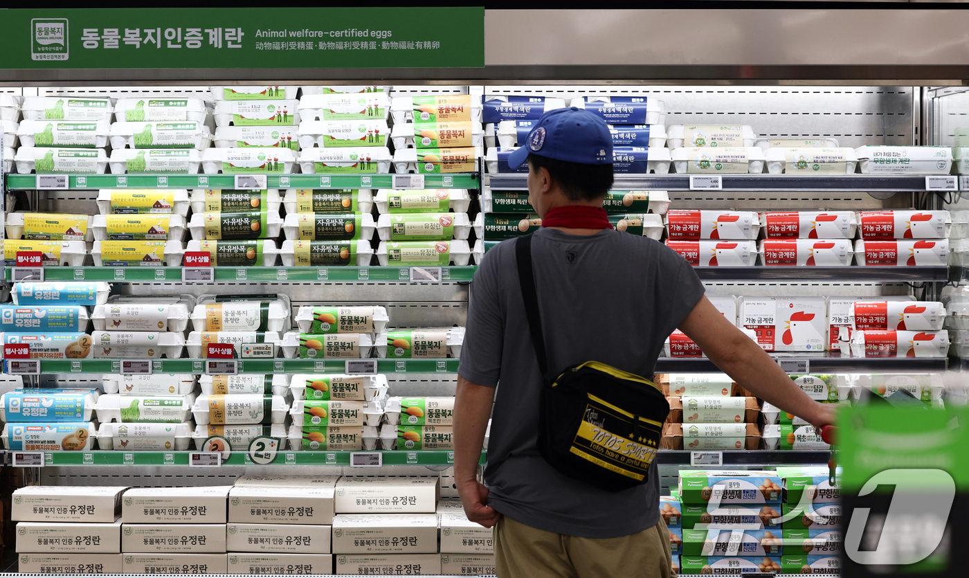 (서울=뉴스1) 최지환 기자 = 계란 가격이 고공행진하는 17일 서울 시내 한 대형마트를 찾은 한 시민이 계란을 고르고 있다.17일 한국농수산식품유통공사(aT) 농산물유통정보(KA …