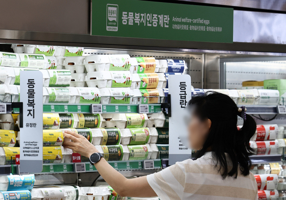 치솟는 달걀 가격