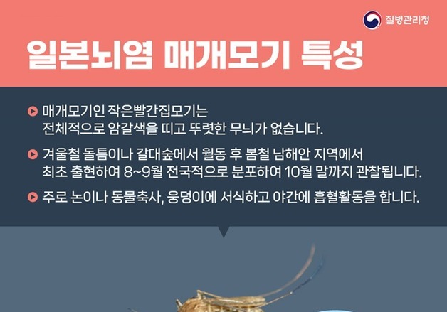대구서 일본뇌염 바이러스 모기 발견…"전국 경보 발령"