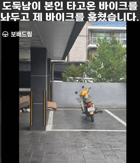 본문 이미지 - 보배드림