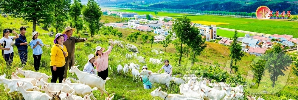 (평양 노동신문=뉴스1) = 북한 노동당 기관지 노동신문은 18일 강동종합온실농장을 조명하며 종업원들이 제9차 당 대회 결정 관철과 남새(채소) 생산 확대를 위해 사회주의경쟁을 벌 …
