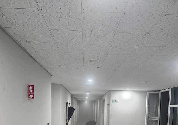 천안 한 대학교 기숙사 화장실서 불…140여명 대피