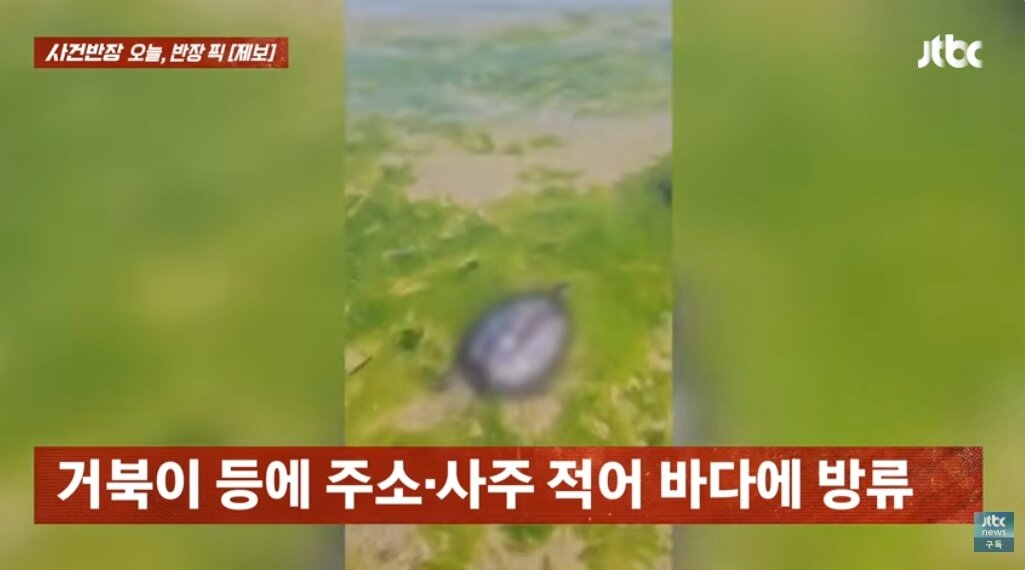 본문 이미지 - JTBC '사건반장'