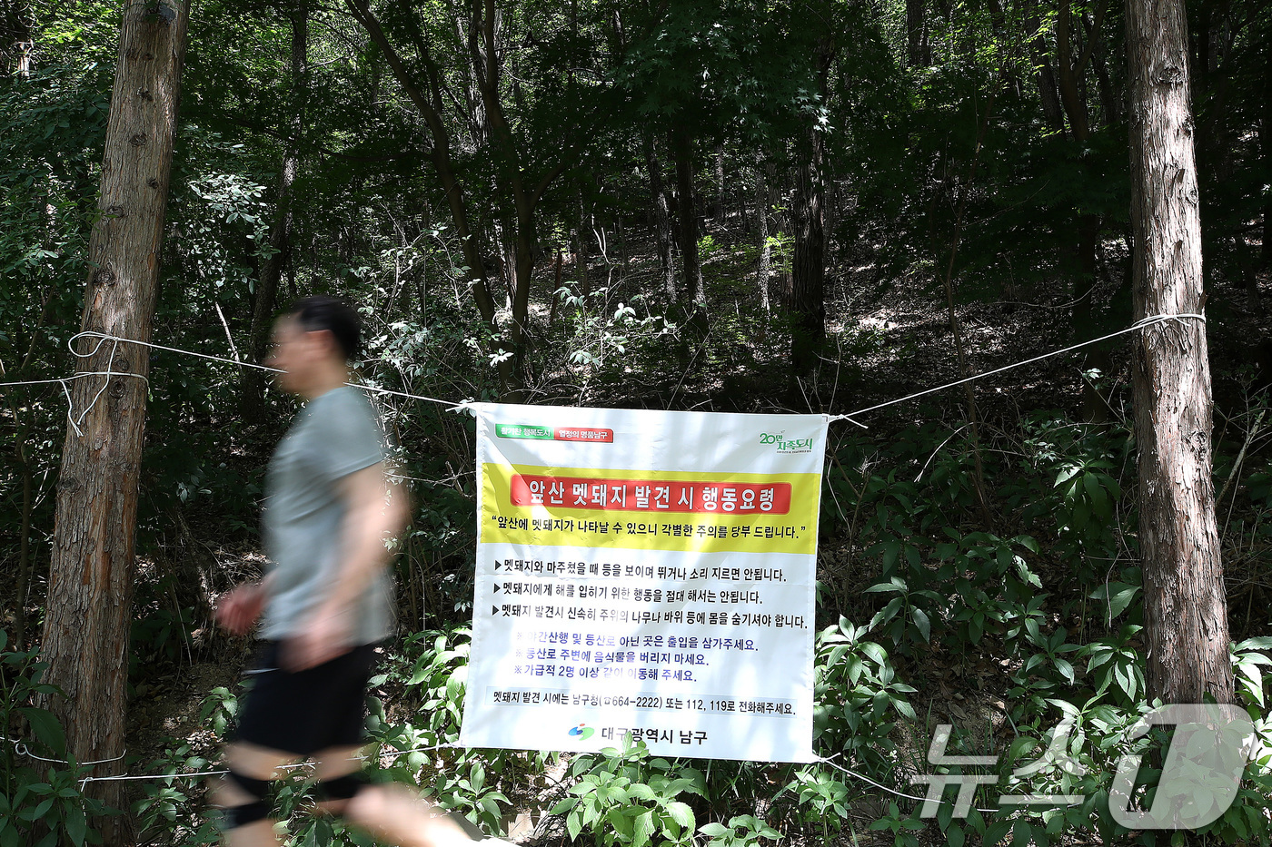 (대구=뉴스1) 공정식 기자 = 18일 오후 대구 남구 앞산 고산골 공룡공원 주변에 멧돼지 출현에 대비해 행동요령을 알리는 현수막이 걸려 있다. 2026.6.18/뉴스1