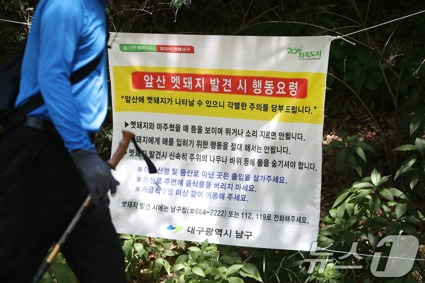 (대구=뉴스1) 공정식 기자 = 18일 오후 대구 남구 앞산 고산골 공룡공원 주변에 멧돼지 출현에 대비해 행동요령을 알리는 현수막이 걸려 있다. 2026.6.18/뉴스1