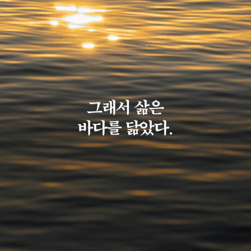본문 이미지 - '소년은 바다처럼 운다'는 불안과 허무 속에서도 끝내 살아가야 하는 이유를 친구의 부재와 함께 파고든다. 저자 임세병은 4막 4장 구성 속에 에세이, 소설, 시, 그림을 겹쳐 놓으며 파리와 코르시카를 오간 시간, 현수의 부재, 살아남은 자의 관성을 한 흐름으로 묶는다.