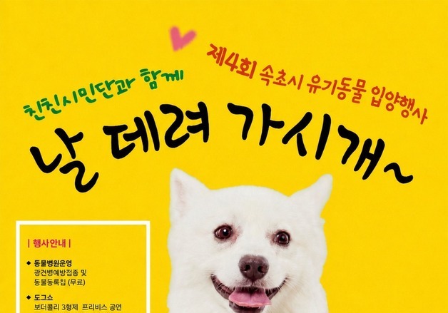 "일주일 뒤 데려가시개"…비 예보에 속초 유기동물 입양행사 28일로 연기