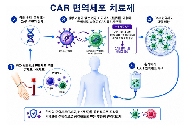차세대 세포 유전자 치료제 항암 성능 높일 '열쇠 단백질' 발굴
