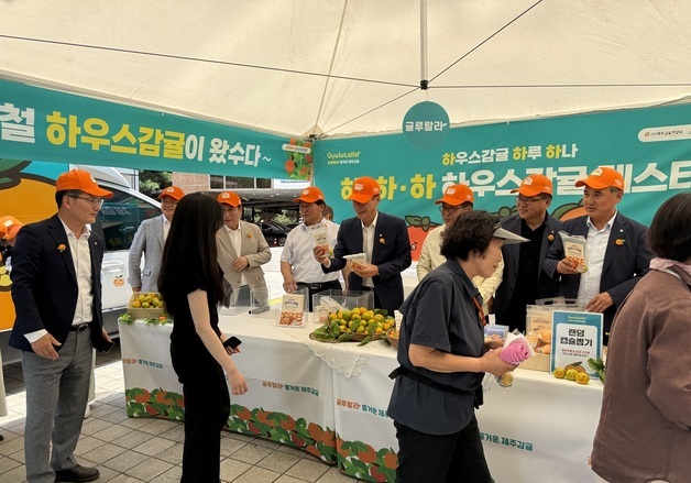 [제주경제소식] 하우스 감귤, 도심 속 소비자 입맛 공략