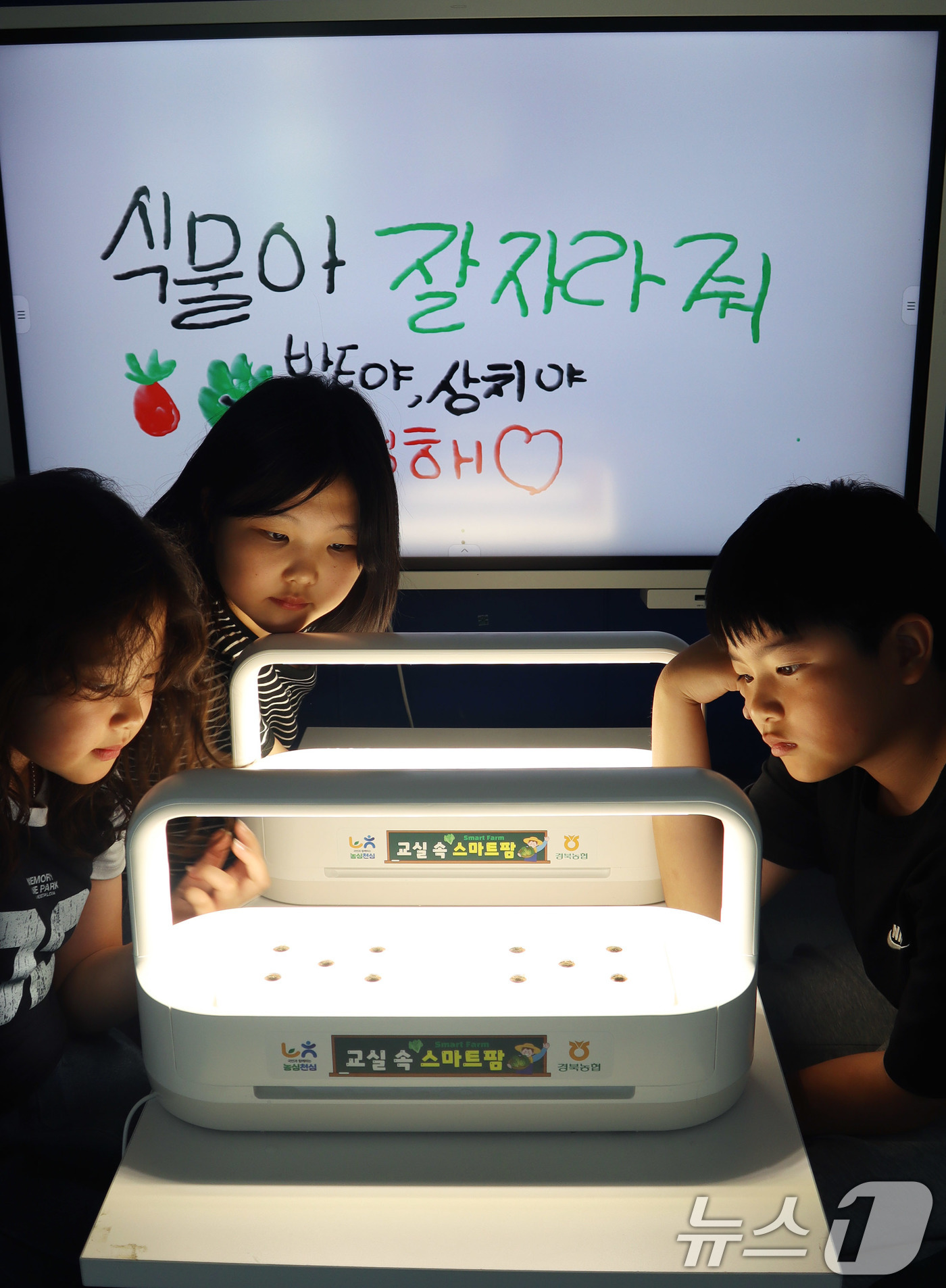 (서울=뉴스1) = LG전자는 농협중앙회 경북본부와 함께 경북 지역 초등학생들에게 디지털 기술과 농업이 결합된 자연 교육 기회를 제공하기 위해 '그린 버튼(Green Button) …