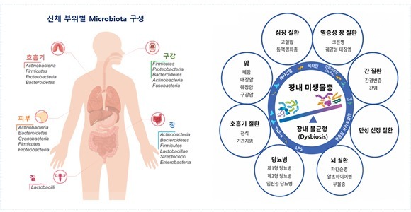 "한국형 인간 마이크로바이옴 연구 성과, 국제무대에 첫선"
