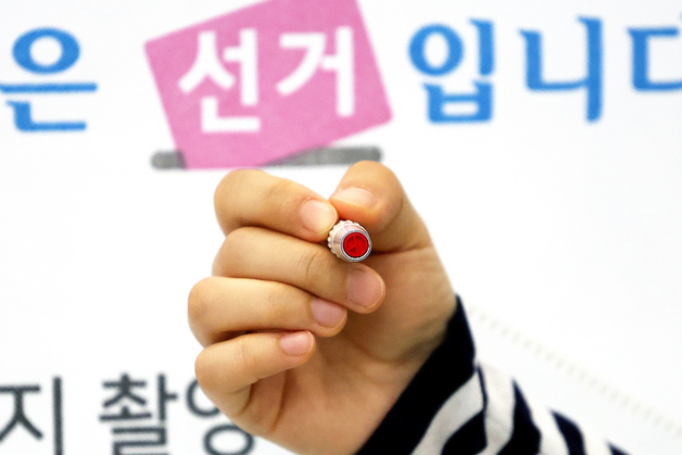 민주주의의 꽃…투표하세요