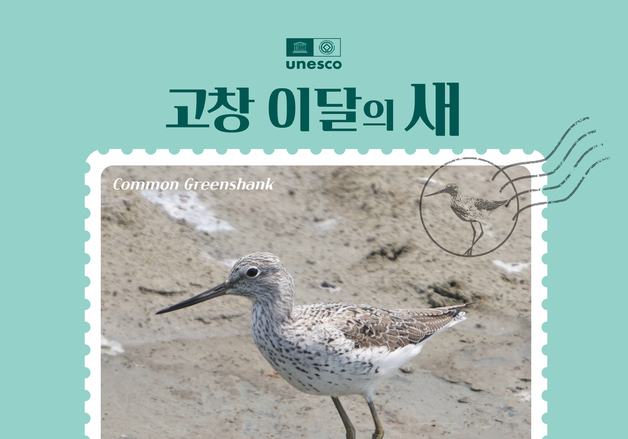 고창군, 6월 이달의 새로 '청다리도요' 선정