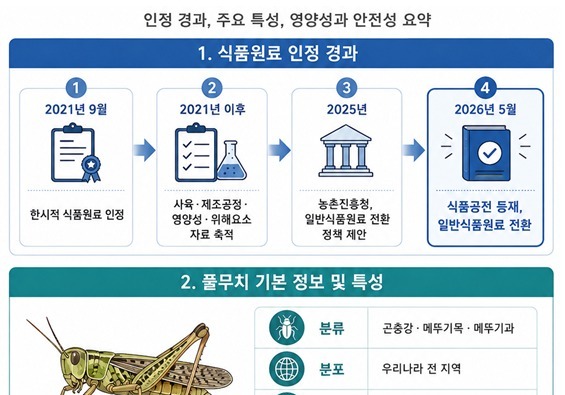 농진청·식약처, 10번째 식용곤충으로 '풀무치' 등재…"단백질 함량 높아"