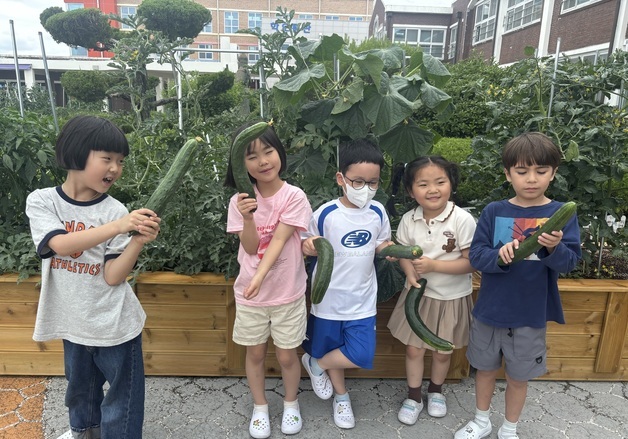 광주 무학초 '선후배 짝꿍 줍깅' 생태 전환 활동