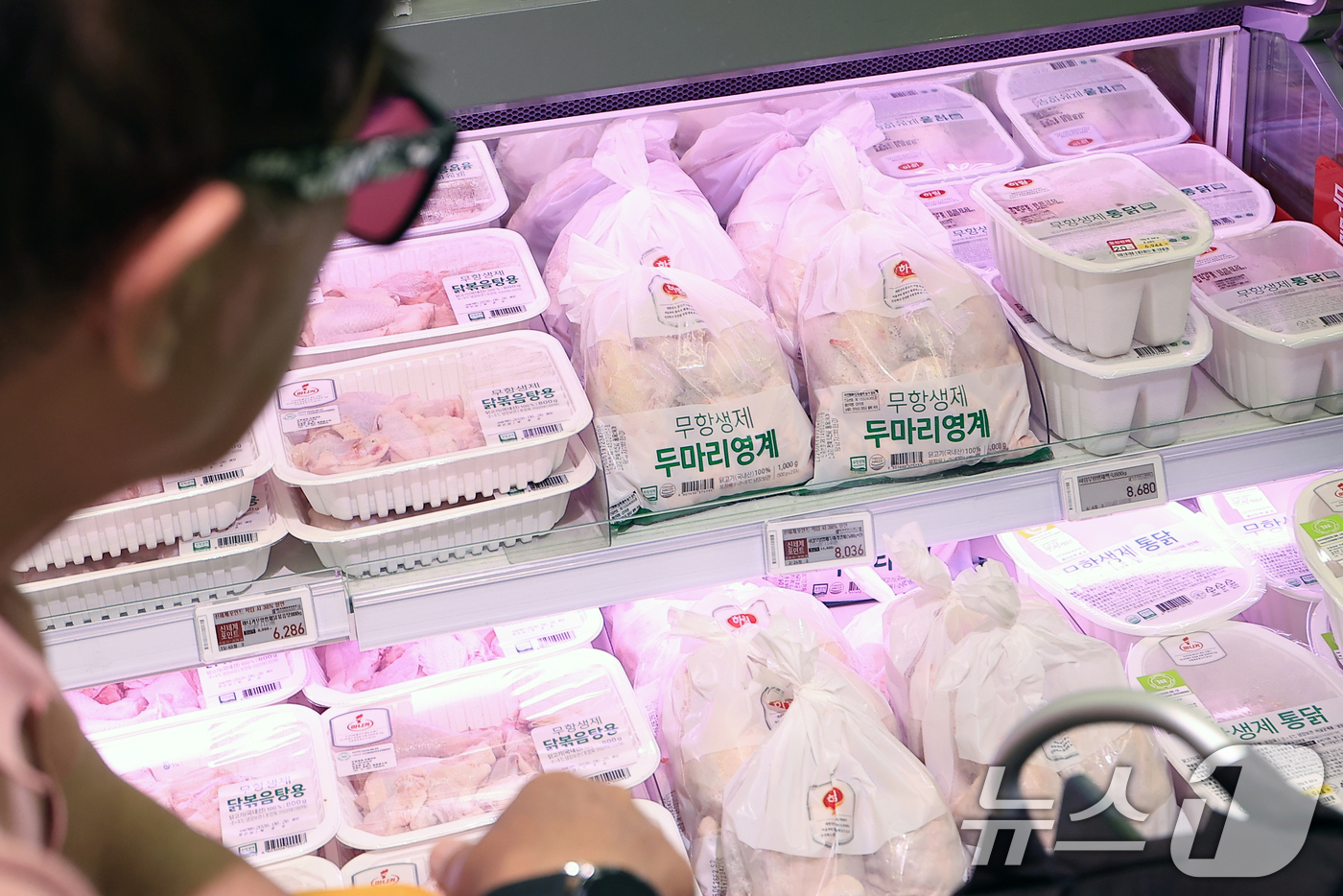 (서울=뉴스1) 박정호 기자 = 계란과 닭고기 등 먹거리 가격이 잇따라 오르고 있는 21일 서울 시내의 한 대형마트를 찾은 고객이 닭고기 제품을 살펴보고 있다. 문제는 본격적인 …