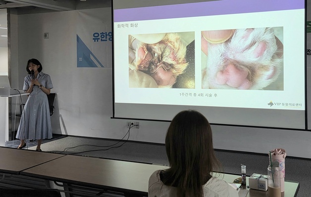 화상 입은 고양이도, 탈모 강아지도…'벳이즈' 피부 재생 사례 공개