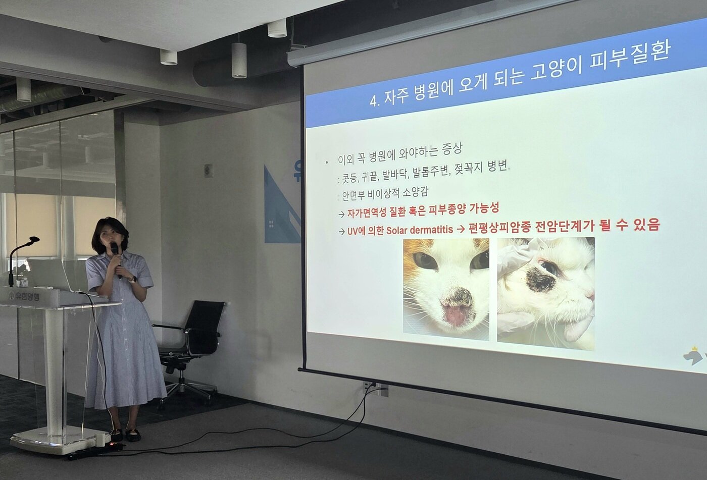 본문 이미지 - 진희정 VIP동물의료센터 청담점 과장이 21일 유한양행 본사에서 열린 피부질환 세미나에서 꼭 병원에 가야 하는 고양이 피부 증상에 대해 설명하고 있다. ⓒ 뉴스1 한송아 기자
