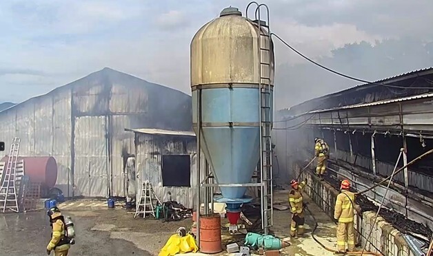남원 양계장서 불 1시간 만에 진화…축사 3개 동 전소