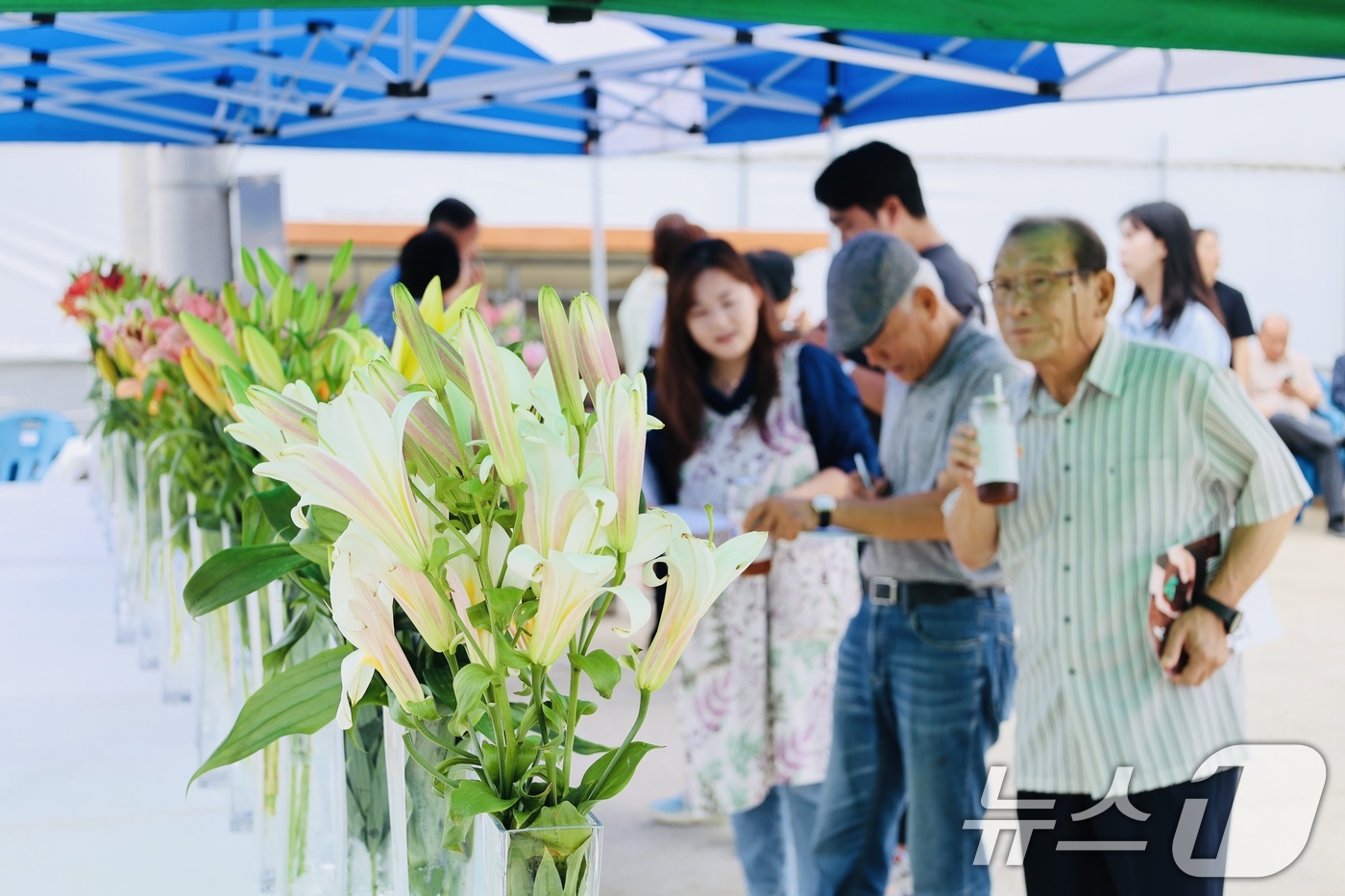 (서울=뉴스1) = 22일 전북 완주군 봉동읍 나리농장에서 열린 '국산 나리 현장평가회'에서 참석자들이 우수 나리의 생육 특성과 상품성을 살펴보고 있다. (농촌진흥청 제공. 재판매 …
