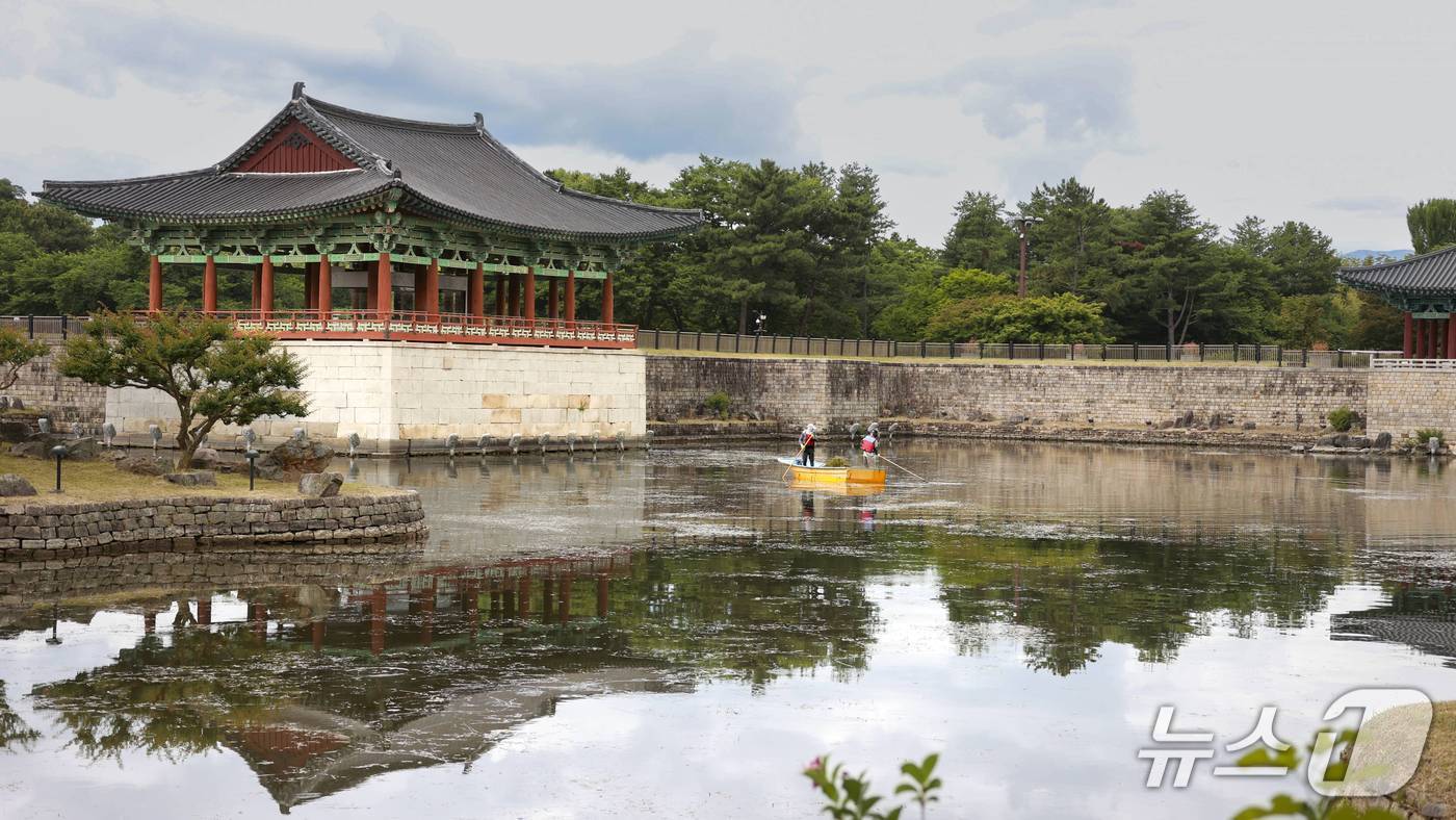 본문 이미지 - 22일 경북 경주시가 동궁과 월지 경관과 수질 관리를 위해 수초 제거 작업을 진행하고 있다고 밝혔다.(경주시제공, 재판매 및 DB금지) 2026.6.22/뉴스1 