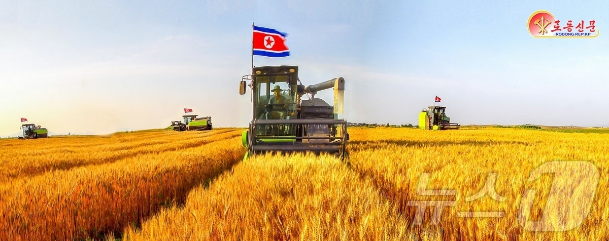 (평양 노동신문=뉴스1) = 북한 노동당 기관지 노동신문은 23일 문덕군 상팥농장에서 밀, 보리 농사 결속을 위해 매진하고 있다고 선전했다. [국내에서만 사용가능. 재배포 금지. …