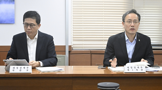 제3차 일자리 전담반, 모두 발언하는 이형일 차관