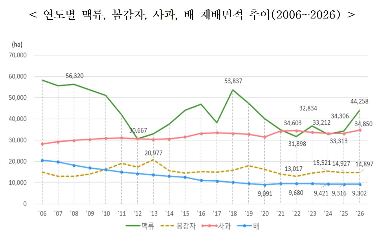 본문 이미지 - 연도별 맥류, 봄감자, 사과, 배 재배면적 추이(2006~2026년).(국가데이터처 제공)