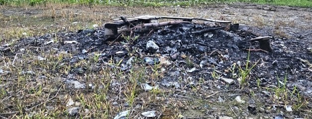 과수화상병 확산 차단 '허점'…보은 곳곳 의심 증상 은폐 의혹
