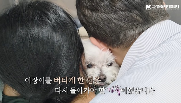 많이 본 뉴스