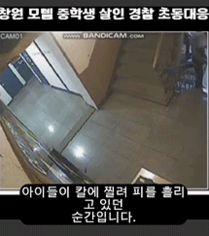본문 이미지 - 보배드림 인스타그램