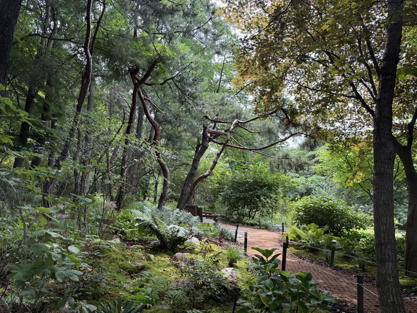 본문 이미지 - 남산 한국숲정원