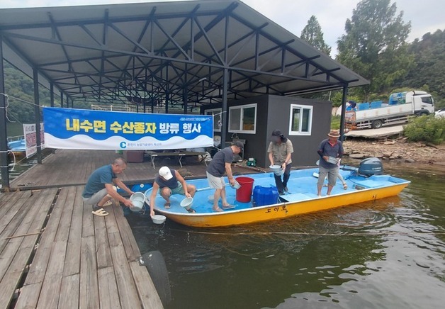 춘천시, 소양호·춘천호·청평호·홍천강에 수산종자 336만마리 방류