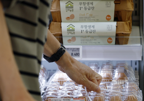 행사 계란 득템