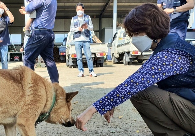 "동물학대자 소유권 상실·제한"…한정애, 동물보호법 개정안 발의