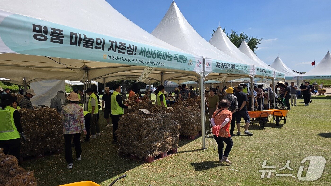 본문 이미지 - 서산육쪽마늘 판매 부스 운영 모습ⓒ 뉴스1 김태완 기자