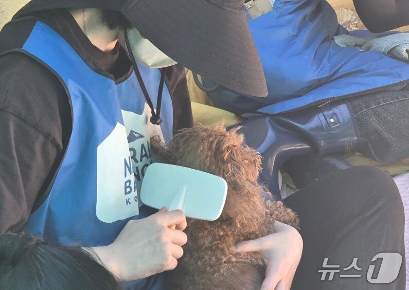 본문 이미지 - 블루엔젤 단원이 동물보호소에서 봉사를 하고 있다(내추럴발란스 제공). ⓒ 뉴스1