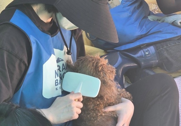 "사람 그리운 유기견들"…봉사 나선 블루엔젤 강지영·김립·김신