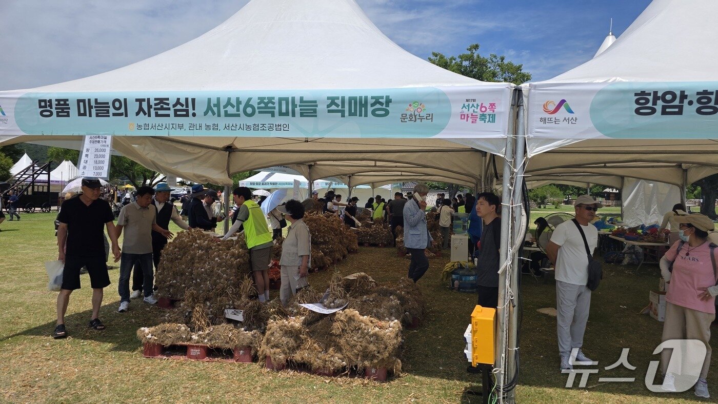 본문 이미지 - 27일 해미읍성 육쪽마늘축제장 마늘 판매 부스 운영 모습ⓒ 뉴스1 김태완 기자