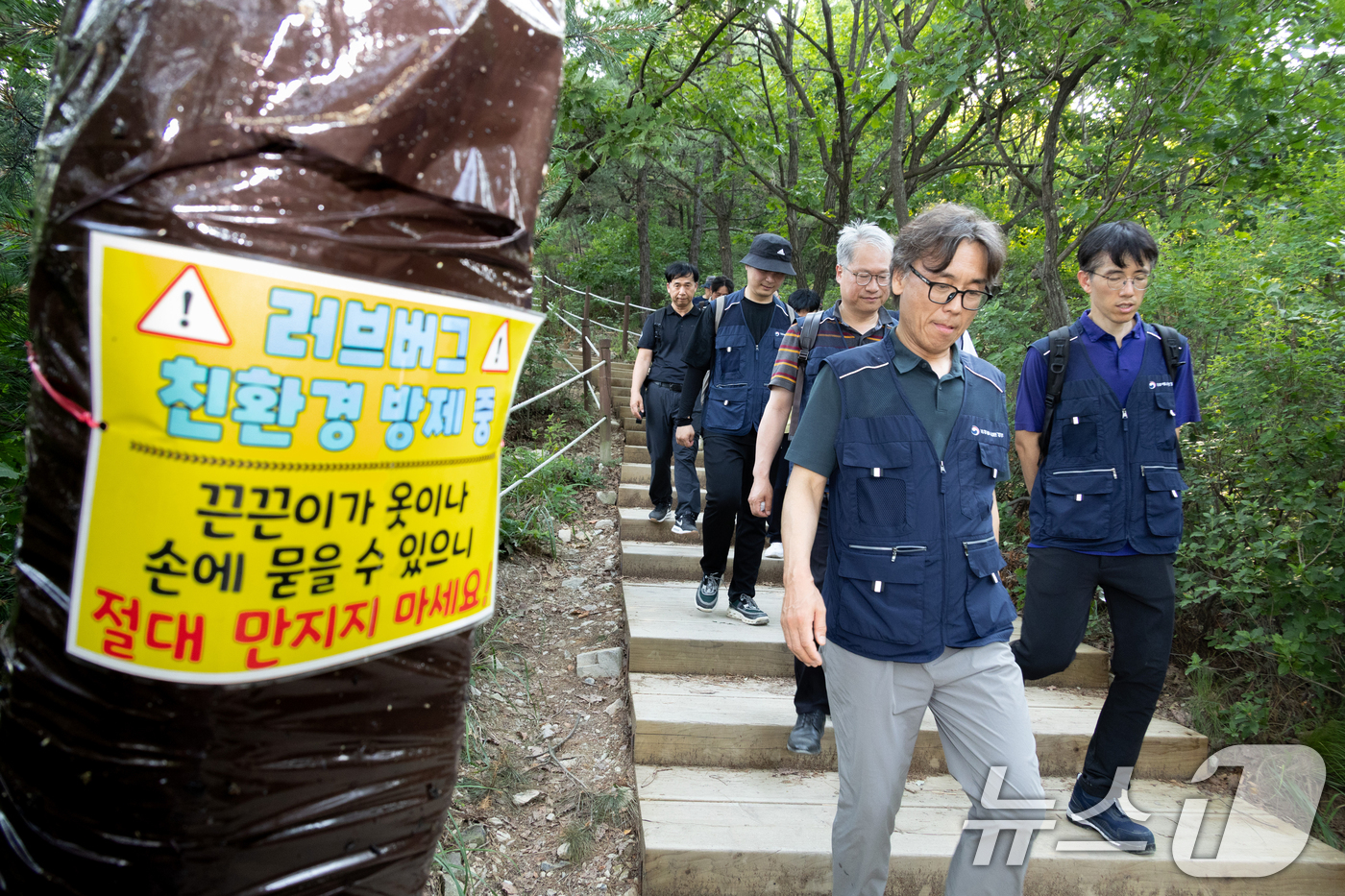 (인천=뉴스1) 이호윤 기자 = 금한승 기후에너지환경부 1차관이 27일 인천 계양구 계양산에서 친환경 살충 목초액 살포 등을 이용한 붉은등우단털파리(러브버그) 방제 현장을 점검하고 …
