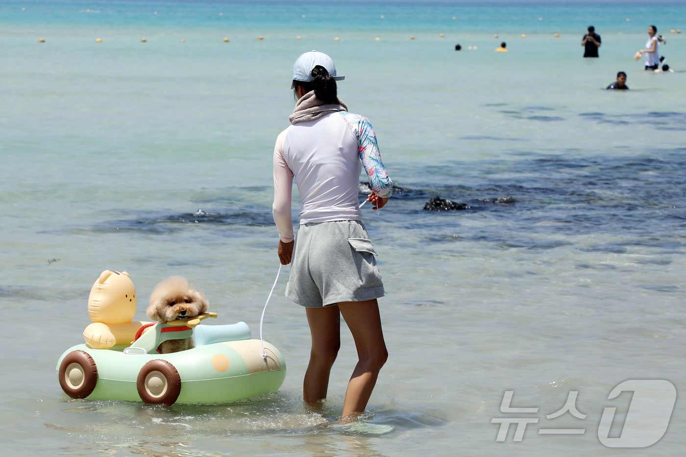 (제주=뉴스1) 오미란 기자 = 28일 오후 제주시 조천읍 함덕해수욕장 펫 비치(Pet Beach)에서 한 피서객이 반려견과 함께 물놀이를 하고 있다. 2026.6.28/뉴스1