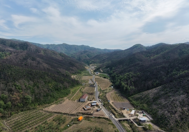경북도, 산불피해 안동 길안면 산림경영특구 지정…소득산림 전환