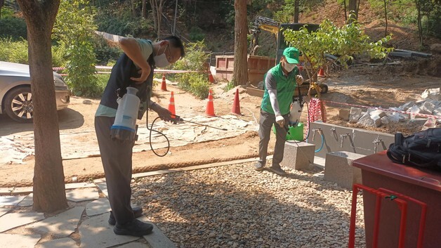 러브버그부터 모기·바퀴벌레까지…동작구, 여름철 해충 총력 방제