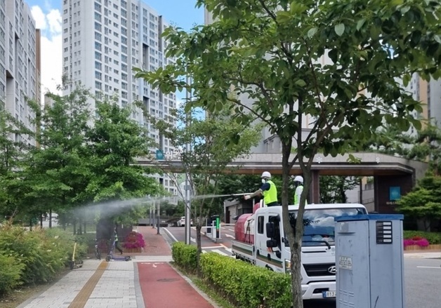 송파구, 러브버그 확산에 인력 150명 투입 '물청소 방역'