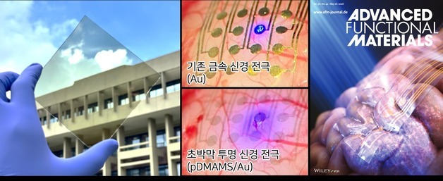 실명 생쥐서 '인공시각' 78% 재현…KIST, 투명 전극 개발