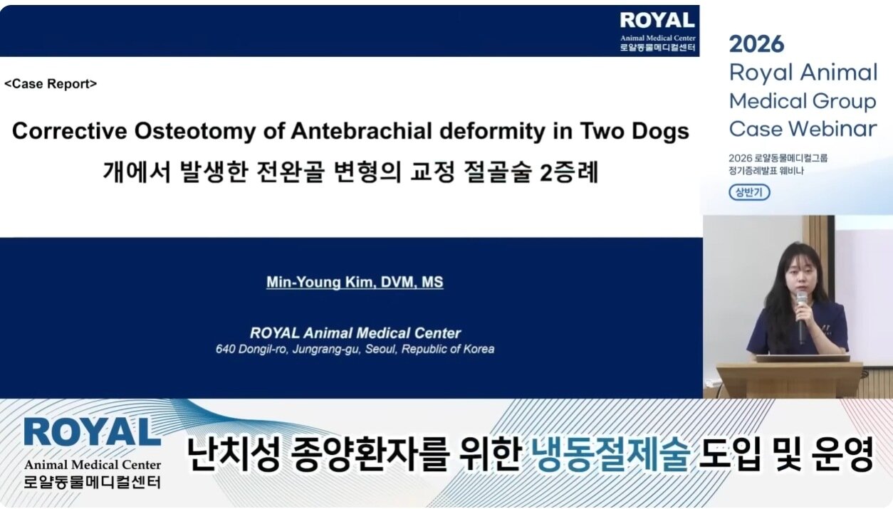 본문 이미지 - 로얄동물케디컬그룹 2026 정기증례발표회에서 김민영 본원 팀장이 전완골 변형 교정술 증례를 소개하고 있다(유튜브 갈무리). ⓒ 뉴스1